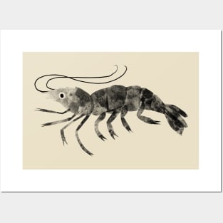 Shrimp Posters and Art